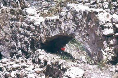 Steinbögen bei den Grabungen rund ums Kloster frei gelegt - im Jahr 1983